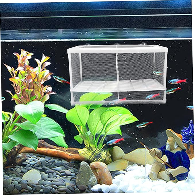 Toyvian 2pcs Aquarium Breeding Box Partition for Fish Tank Accessories Betta Fish Tank Incubator Random Style