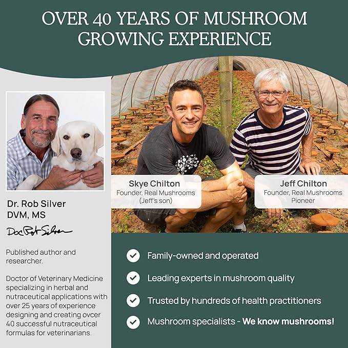 Real Mushroom Immune Pet Chews – For Daily Digestive & Immune Health – Mushrooms for Dogs & Cats Functional Treat – Mushroom Supplement for Dogs & Cats – 1 to 4 Chews For All Breeds & Sizes (60 Count)