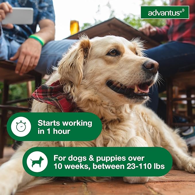 Advantus Dog Fast Acting Oral Flea Treatment Soft Chews Dogs 23 - 110 lbs. | 30 ct.