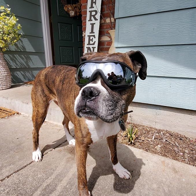 Namsan Dog Goggles Large Breed, UV-Protection Doggie Sunglasses for Medium to Large Dogs, Outdoor Dog Eye Protection, Anti-Fog Anti-Dust Windproof Snowproof, Adjustable Straps, Black