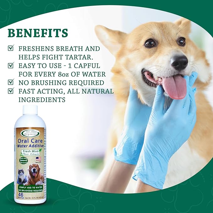 Oral Care Water Additive for Cats & Dogs – Gentle Dental Support – Reduces Breath Odors, Promotes Gum Health – No Brushing – Convenient for Daily Use, Fresh Mint Flavor, 16 FL oz
