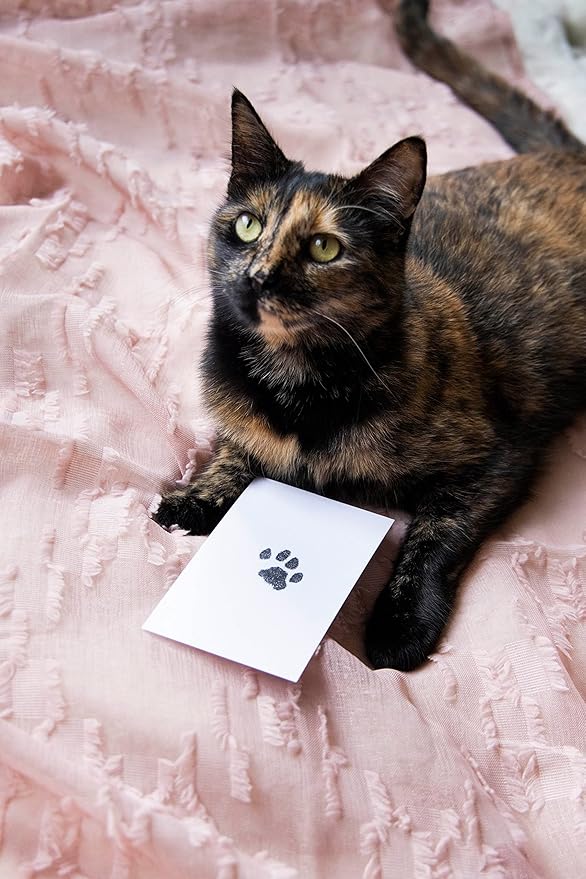 Pearhead Paw Print Clean-Touch Ink Pad, Mess Free Inkless Pet Impression Kit, Safe for Cats and Dogs, Pawprint Keepsake, Pack of 2