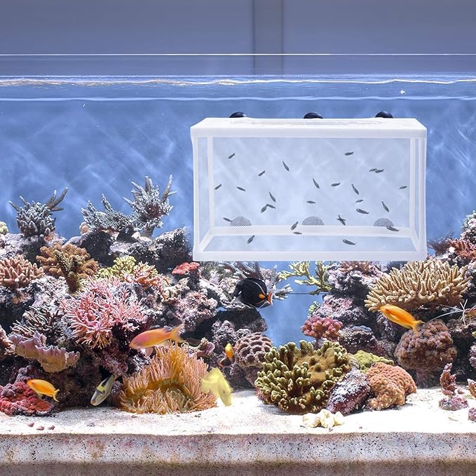 balacoo Fish Isolation Box for Aquarium with Suction Cups Large Size Fish Breeder Net Hatchery Incubator 10.23X5.9X5.9 Inch Separator for Tank Nursery
