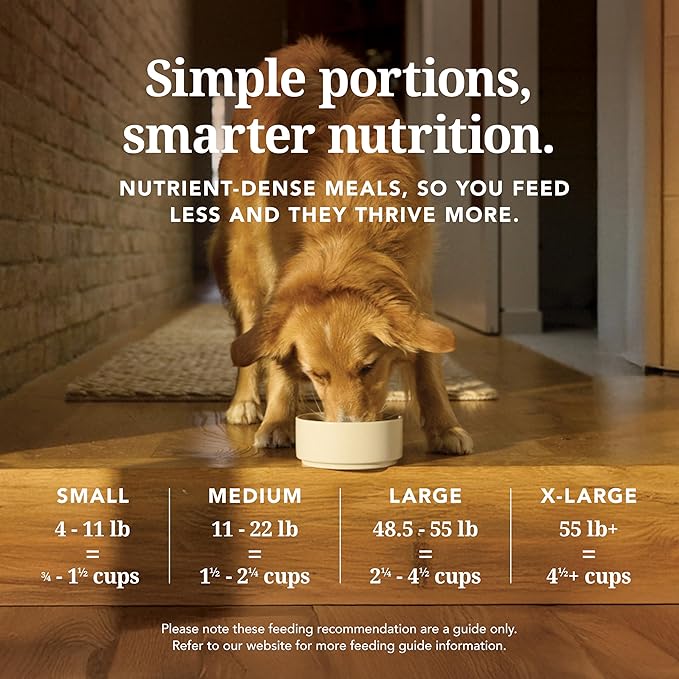 K9 Natural Beef & Hoki Freeze Dried Dog Food, High-Meat Natural Complete Meal or Meal Toppers for Dogs, Grass-Fed Beef & Hoki from New Zealand, Grain-Free, GMO-Free, Complete & Balanced Nutrition, 4lb