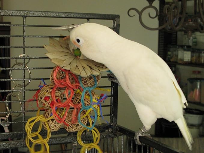 Super Bird Creations SB535 Mexican Hat Dance Bird Toy, Medium Bird Size, 10" x 5.5"