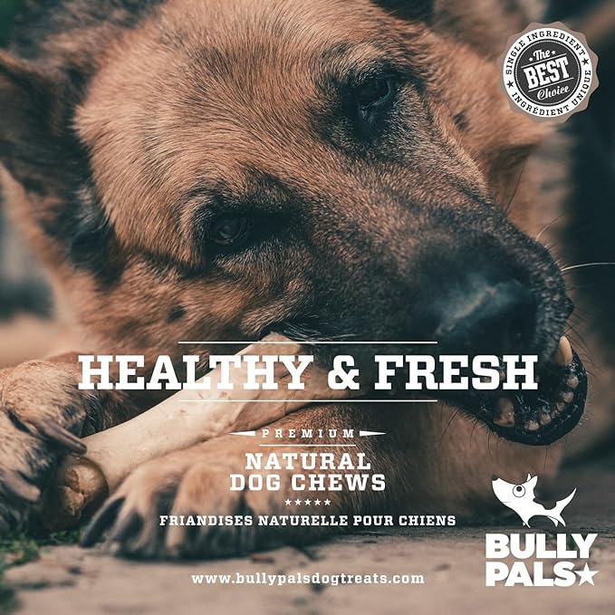 12 inch Standard Bully Sticks for Dogs - 10 Pack - 100% Natural, Single Ingredient, Easily Digestible, All Beef Dog Treats and Rawhide Free Dental Chew Bones for Dogs