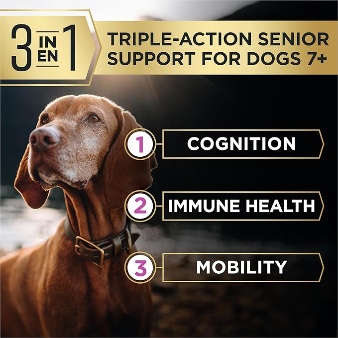 Purina Pro Plan AdvantEDGE Senior Support Plus Shredded Blend Chicken and Rice Formula Dry Dog Food - 12 lb Bag