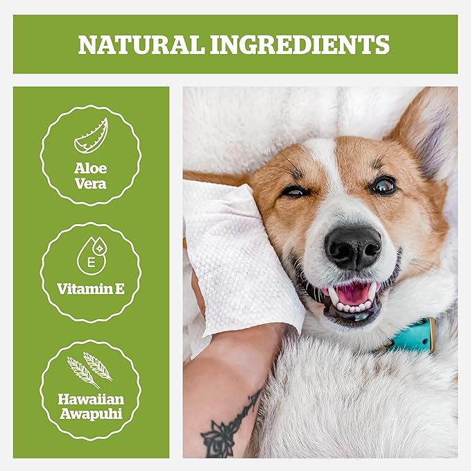 Pogi’s Dog Wipes Travel Packs – Hypoallergenic Pet Wipes for Paws, Body & Butt – Cleaning & Hydrating, Fragrance Free, 120-Count