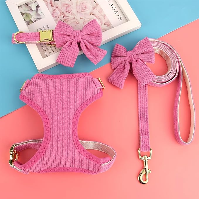 Didog Cute Small Dog Harness Collar and Leash Set with Bowtie, Breathable Soft Mesh Padded Puppy Harness, Dog Harness for Small Dogs Daily Walks Parties, Holiday Gatherings & Gifts, Hot Pink, M