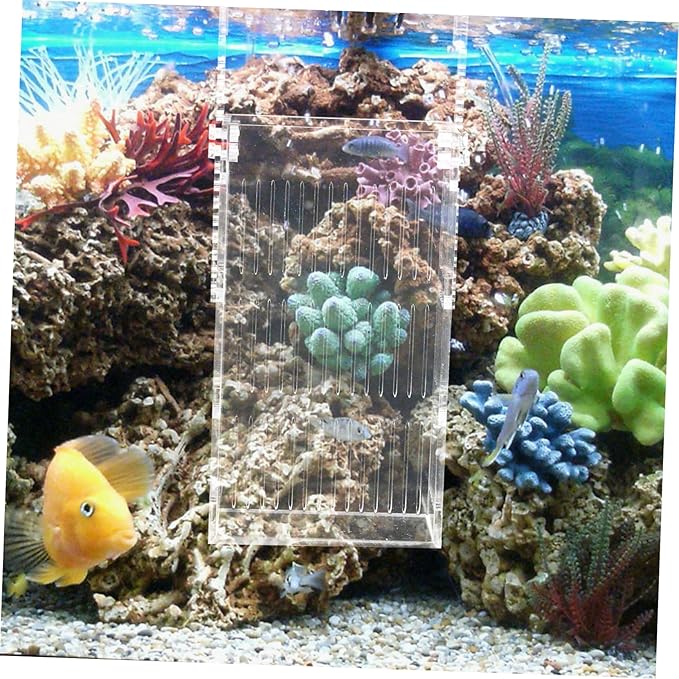 BESPORTBLE Acrylic Fish Breeding Box for Betta Fish Tank Mini Isolated Hatchery Divider for Shrimp and Fry Hanging Aquarium Nursery Planting Holes