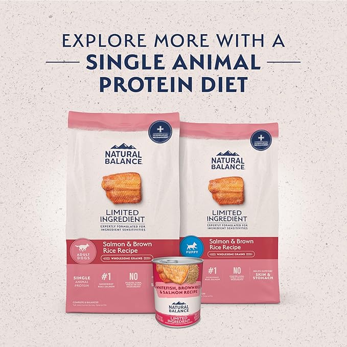 Natural Balance Limited Ingredient Adult Dry Dog Food with Healthy Grains, Salmon & Brown Rice Recipe, 4 Pound (Pack of 1)