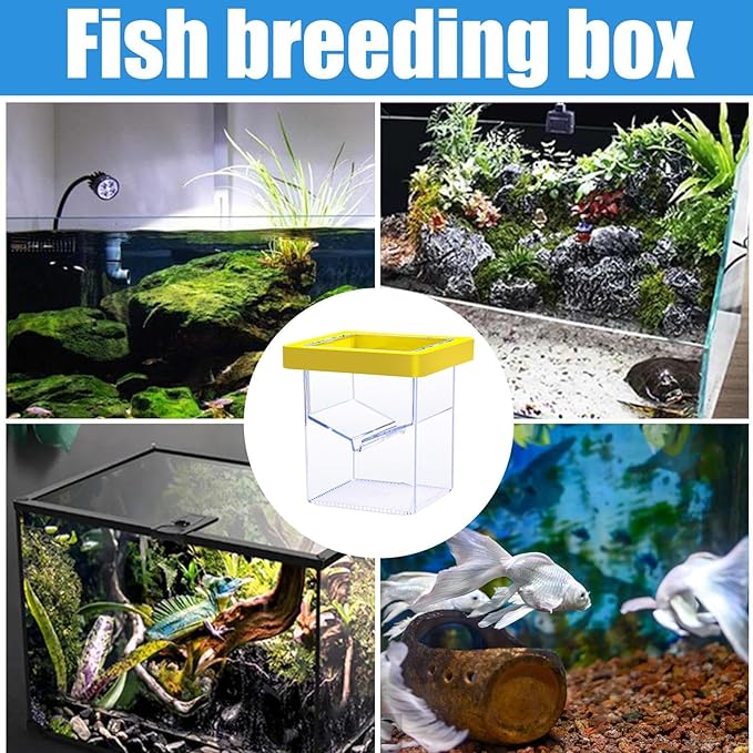 Fish Tank Breeder Box – Suction Cup Isolation Container | Divider Hatchery Unit for Acclimating Raising Fry, Aquarium Setup Accessory for Separating Injured or Aggressive Aquatic Species