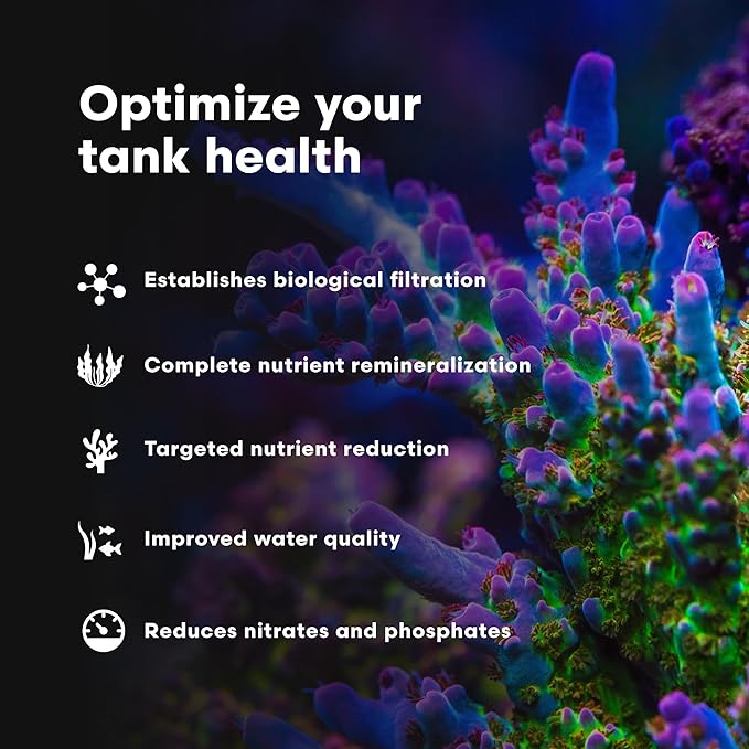 Brightwell Aquatics MicroBacter7 Complete Bioculture for Fish Tank or Aquarium - Populates Biological Filter Media for Saltwater and Freshwater Fish - Aquarium Water Treatments, 5.28 GAL
