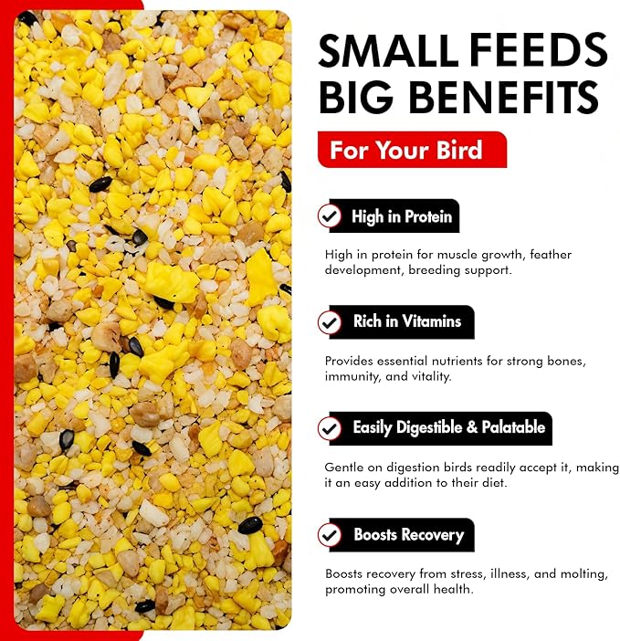 Morning Bird Eggfood 3 lbs (2-Pack, 1.5 lbs Each) – Protein-Rich Soft Food for Birds - High in Protein, Vitamins & Minerals – Supports Growth, Digestion & Feather Health – Ideal for Breeding Birds