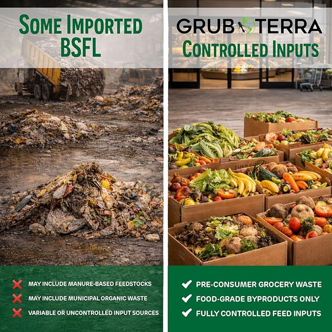 GrubTerra Black Soldier Fly Larvae for Chickens – Dried BSFL Poultry Treat, High Protein Calcium Feed Supplement for Laying Hens, Backyard Chickens, Sourced from Mexico, Not from China - 10LB