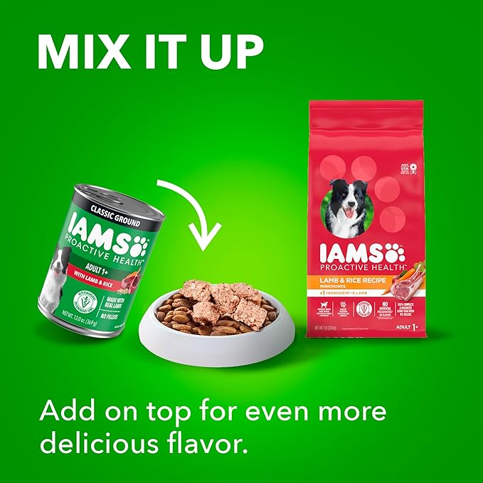 IAMS Proactive Health Wet Dog Food Adult, Canned Dog Food, Lamb Chunks in Gravy, 13 oz. Cans, Pack of 12