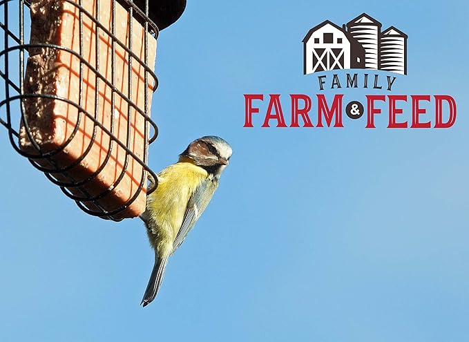 | Four Seasons | Suet Cake | Wild Bird Food | Backyard Songbird | 2 Cakes