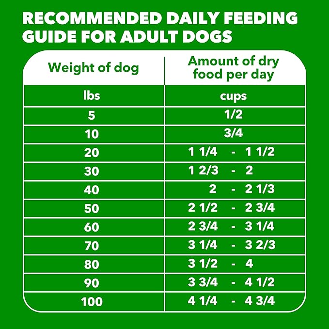 IAMS Proactive Health Adult Dry Dog Food Beef and Rice Recipe, 7 lb. Bag
