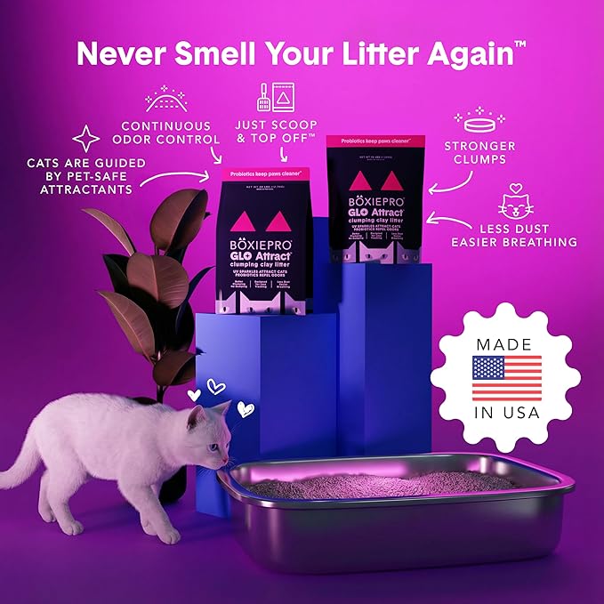 Boxie Glo Clumping Clay 30 Day Odor Control Cat Litter, 99.9% Dust-Free, Low Tracking, UV Light Attractant, 16 lb