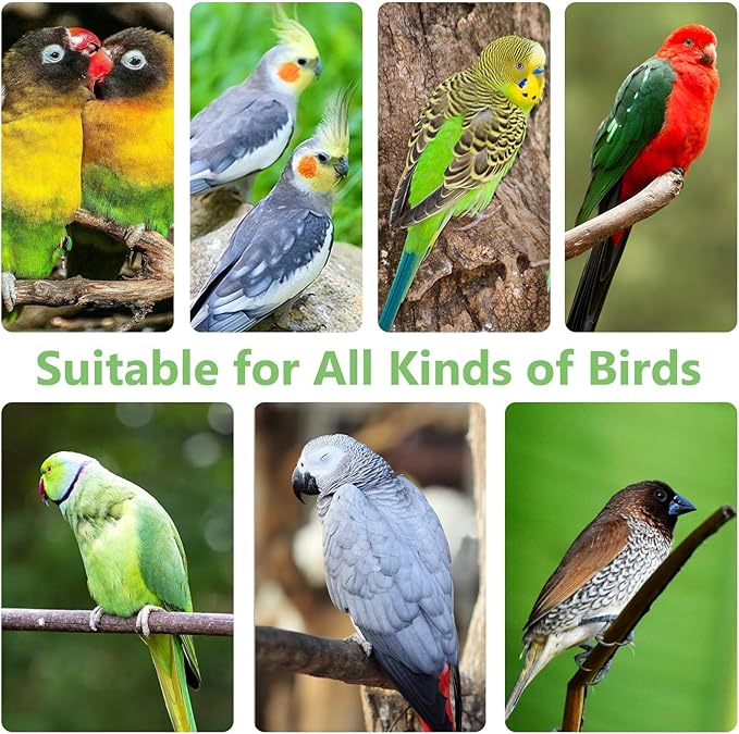 Cork Bark Perch for Birds 12"x8" Natural Cork Chewing Toy 2 PCS Flat Budgies Bark Seat Board Wood Bark Background Decor Panel Birdcage Accessories for Parakeet Lovebirds Cockatiels Conures