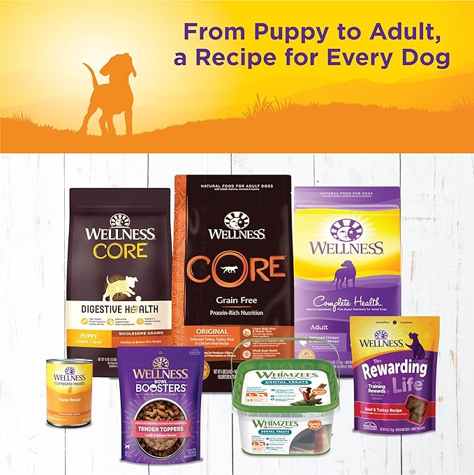 Wellness Complete Health Pate Puppy Canned Wet Dog Food, Wholesome Grains, Natural, Chicken and Salmon Recipe, 12.5 oz, Pack of 12 Cans