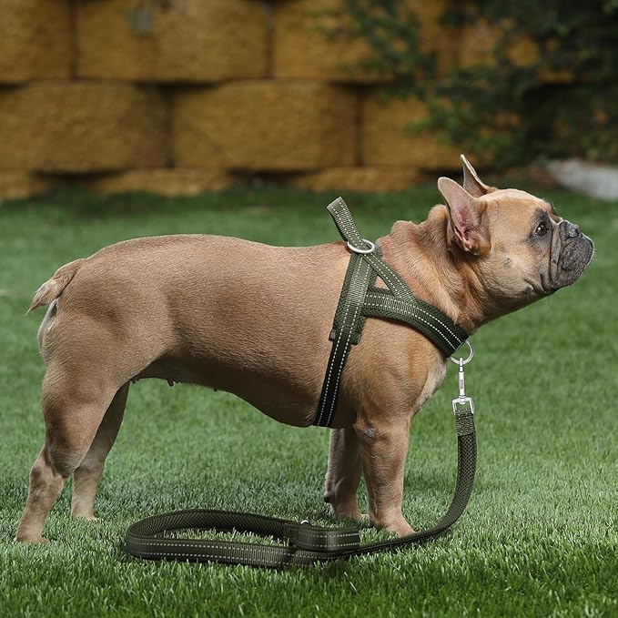 Plutus Pet No Pull Dog Harness with Breathable Mesh Padded, Adjustable Reflective Escape Proof Dog Harness, Quick Fit Dog Vest Harness for Small Medium Large Dogs(XS, Ranger Green)