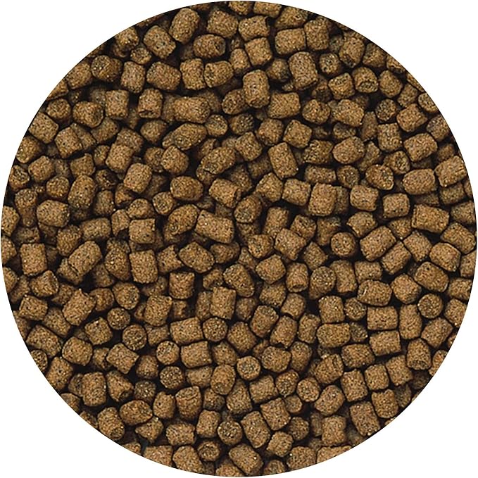 Hikari 12.3-Ounce Lionhead Sinking Pellets for Pets, Mini
