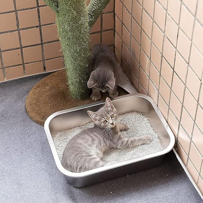 Easy Litterbox Designed by for Cat Owners Stainless Steel for Indoor for Cat and