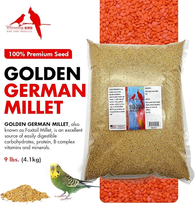 Morning Bird Golden German Millet 9 lbs – Natural Millet Seed for Birds – Natural Protein & Fiber Source – Easy-to-Digest Daily Nutrition for All Bird Types