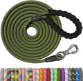 NTR 100FT Leash for Large Breed Dog, Long Leash with Swivel Lockable Hook, Padded Handle and Highly Reflective Thread, Pet Lead for Walking, Hunting,Camping, Backyard for Small Medium Large Dog