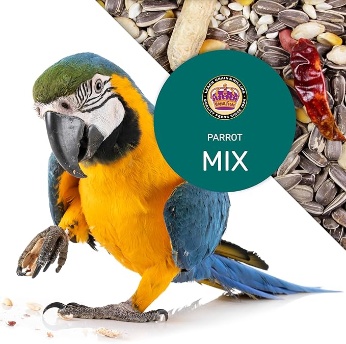 Parrot Mix 5 Lbs, Premium Parrot Food, Nutrient-Rich Blend Birdseed, Supports Energy, Growth & Digestive Health, Tasty and Enjoyable Mix Parrot Food for Healthy & Balanced Diet