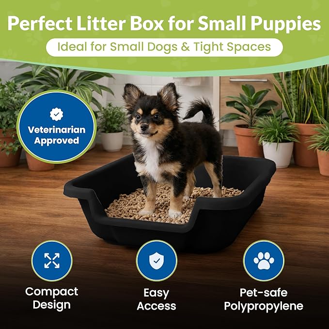 Dog Litter Box, Black Color, Small Size, Durable & Pet Safe Puppy Litter Box, Indoor Open Top Entry Dog Litter Pan, Comfortable for Dogs, Great for Small Dogs up to 6 lbs (2 Pack)