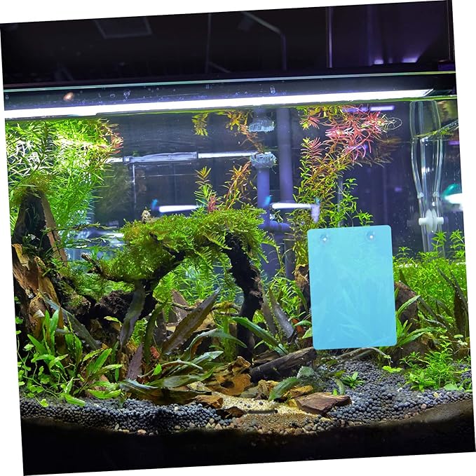 Breeding Incubator Plastic Fish Bowls 2pcs Detachable Breeding Plate Slate for Fish Box Plate Tank Supplies Breeder Box for Tank Breeder Light