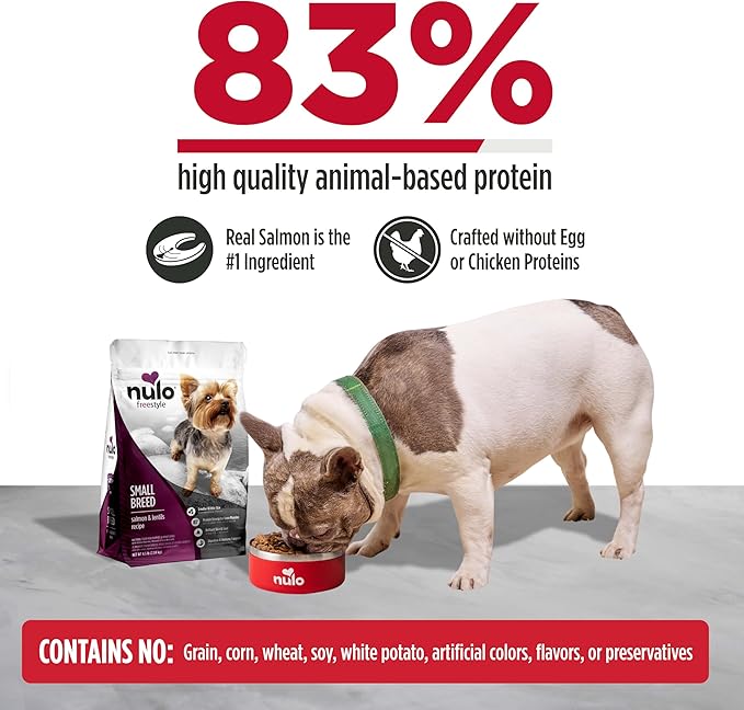 Nulo FreeStyle Small Breed Dog Food Dry - Salmon & Lentils, Puppy & Adult Grain Free Dog Food, Natural, High Protein, Smaller Sized Kibble with BC30 Probiotic for Healthy Digestion Support, 6lb