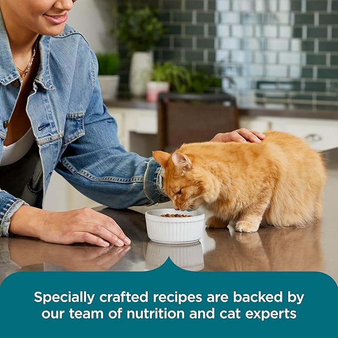 Nutrish Rachael Ray Dry Cat Food Real Salmon & Brown Rice Recipe, 2.5 lb. Bag