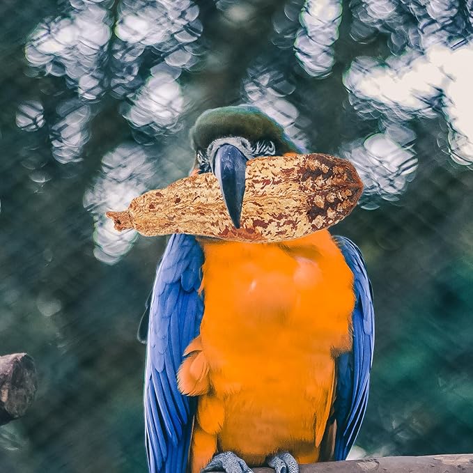 4pcs Natural Parrot Foraging Bird Chewing Fun Safe Chew Treats for Cage Birds Cockatiels Macaws African Greys Budgies
