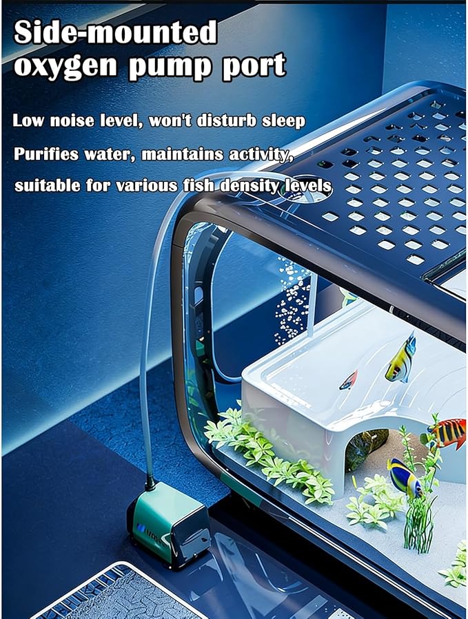 5 Gallon Fish Tank Kit with Air Pump, Climbing Frame, Fish Net, Food, Sea Salt, and Aquascaping for Betta, Small Fish, and Turtles - Ideal for Office and Home Decor