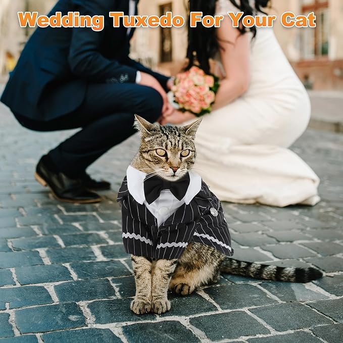 Cat Apparel, Stylish Tuxedo Outfit for Kitty with Tie, Black Stripes Pet Outfits for Wedding, Birthday, Party, XLarge