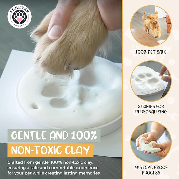 Pet Paw Print Impression Kit Makes (2) Dog Keepsake Ornaments, Inkless Paw Print Kit for Dogs (and Cats!) - Dog Paw Print Kit Keepsake, New Puppy Gift, Pawprint Kit w/ Paints & Name Stamps! (White)
