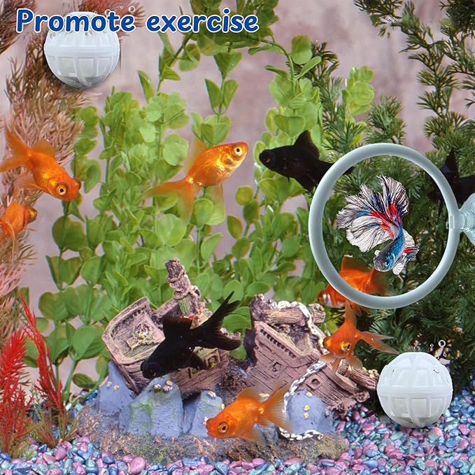 Fish Aquariums Accessories, 1 with Floating Ball & 2 Exercise Training Toys, Feeding Betta Set for Tank, Enrichment