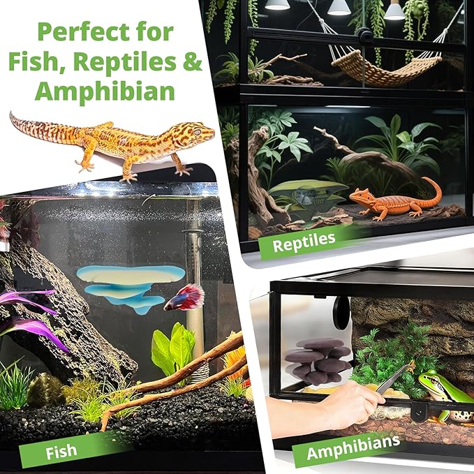 Mushroom Decor for Reptile Tank, Fish Tank, Pet-Safe Bearded Dragon Tank Accessories, Realistic Terrarium Plants for Crested Geckos, Frogs (Rainbow Trio Cap, Randomly Shipped from 3 Styles)