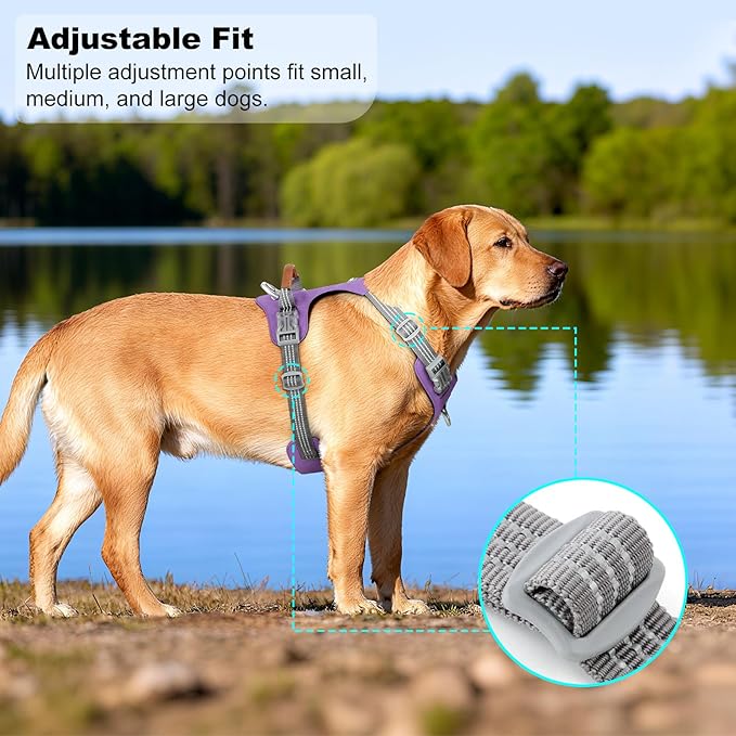 No Pull Dog Harness – Adjustable Reflective Nylon Vest for Small Medium Large Dogs, Escape Proof Training Harness with Leather Control Handle, Lightweight Aluminum Hardware (Purple, L)