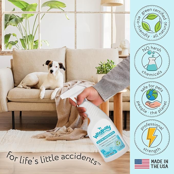 Wee Away X2 Ultra-Concentrated Stain & Strong Odor Eliminator, Enzyme Cleaner, Pet Odor Eliminator for Home - Dog Urine Destroyer - Carpet Cleaner Spray, Ocean Breeze Scent, 16 fl oz