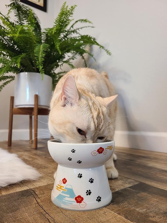Necoichi Raised Cat Food Bowl – Ceramic Elevated Cat Bowl for Whisker & Neck Fatigue, Dishwasher Microwave Safe – Non-Slip & Anti Vomiting Ergonomic Design (Fuji, Large, 2-Cup Capacity)