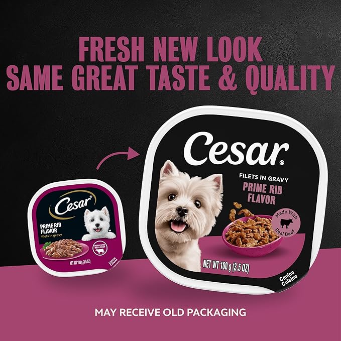 Cesar Filets in Gravy Adult Wet Dog Food Prime Rib Flavor, 3.5 oz. Easy Peel Dog Food Tray, 24 Count (Pack of 1)