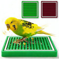 Parrot Foraging Toys, 2 Pcs Bird Feeder Foraging Mats, Interactive 2Pcs Bird Foraging Toys Puzzle to Increase Feeding Time Cage Accessories Training Chewing for Conure, Cockatiel, Parakeet (Green&Red)
