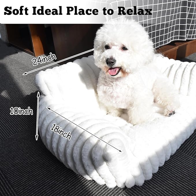 Cat Couch for Pets - Cute Cat Beds for Indoor Cats with Removable Cover, Washable Soft Corduroy Plush, Fluffy Supportive Pet Sofa Chair for Cats, 24 inch White