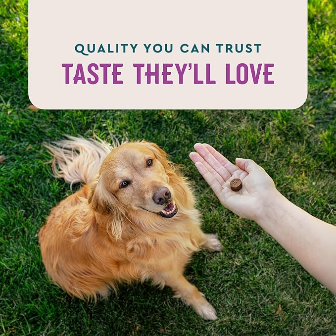 VetIQ Calming Support Supplement,Calming Chews for Dogs Help Manage Stress and Promote Relaxation,Anxiety Relief for Dogs,Made in The USA,120 Count (Pack of 2)