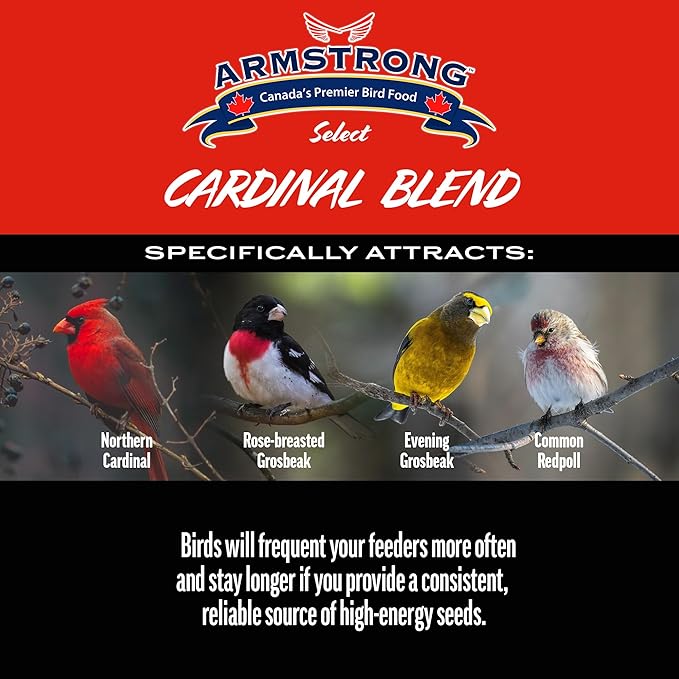 Armstrong Wild Bird Select Cardinal Blend, 4 lb Bag – High-Protein Wild Bird Seed Mix with Sunflower, Millet & Peanuts – Attracts Cardinals, Grosbeaks & Redpolls