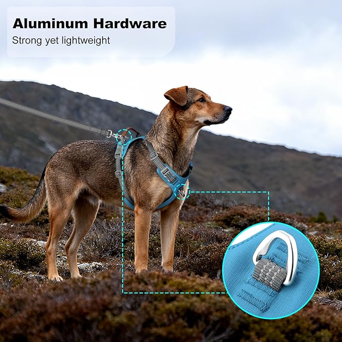 No Pull Dog Harness – Adjustable Reflective Nylon Vest for Small Medium Large Dogs, Escape Proof Training Harness with Leather Control Handle, Lightweight Aluminum Hardware (Cyan, S)